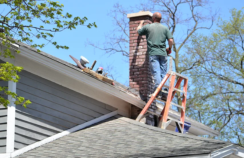 Chimney & Fireplace Inspections Services in Hoover, AL
